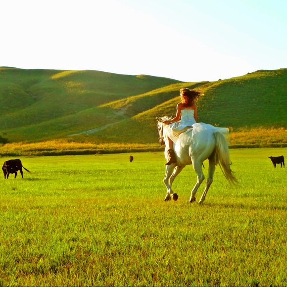 Meet your Posher, Glenda - Picture 4 of 6